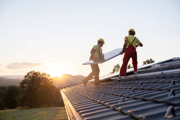 Best Skylight Installation and Repair  in Farmington, IL